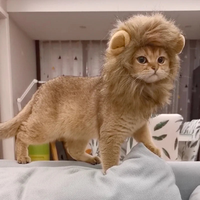 Cute Lion Headgear Cat Hat Mane Wig for Dogs and Cat Small Dog Pet Cat Decor Accessories Lion Wig Fancy Hair Cap Pet Supplies
