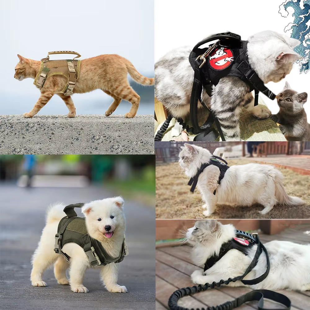 Tactical Cat Harness Puppy Adjustable Kitten Vest for Military Small Dogs Harnesses Working Training Cat Accessories