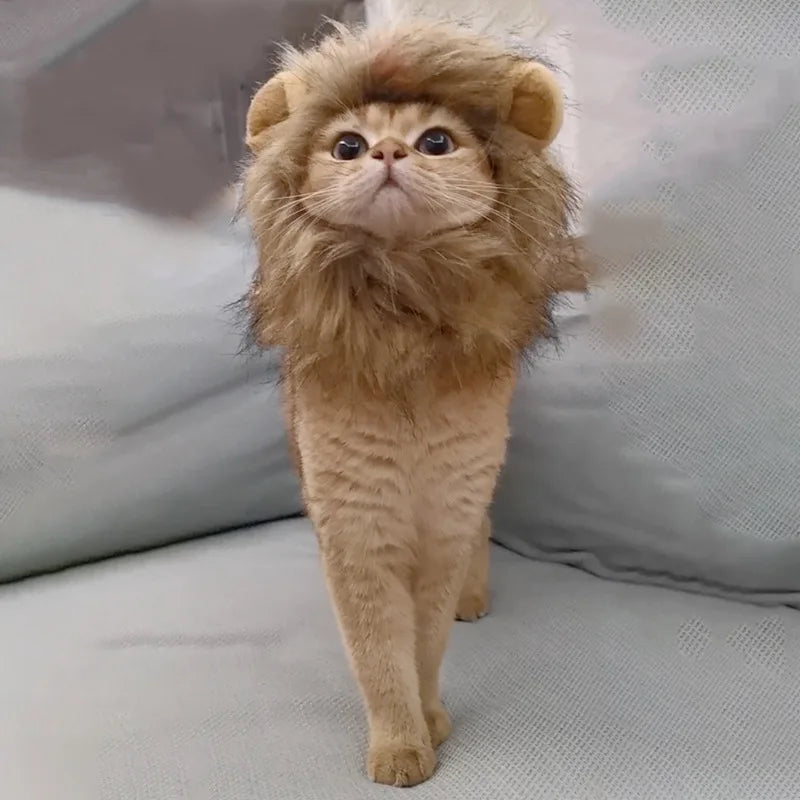Cute Lion Headgear Cat Hat Mane Wig for Dogs and Cat Small Dog Pet Cat Decor Accessories Lion Wig Fancy Hair Cap Pet Supplies