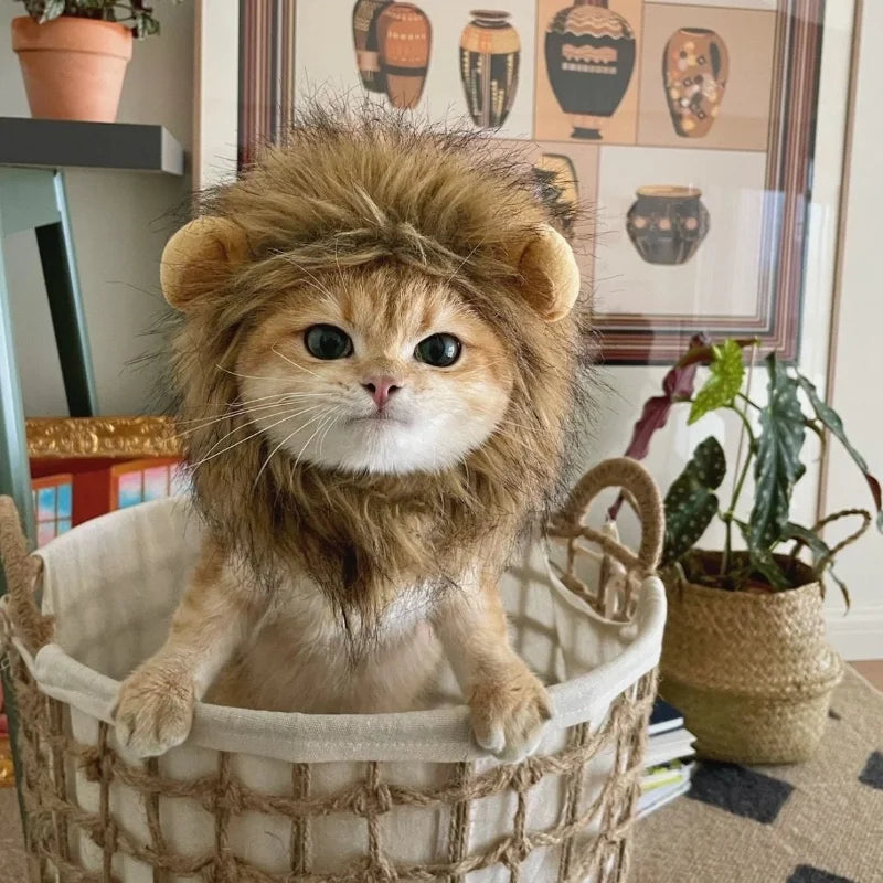 Cute Lion Headgear Cat Hat Mane Wig for Dogs and Cat Small Dog Pet Cat Decor Accessories Lion Wig Fancy Hair Cap Pet Supplies
