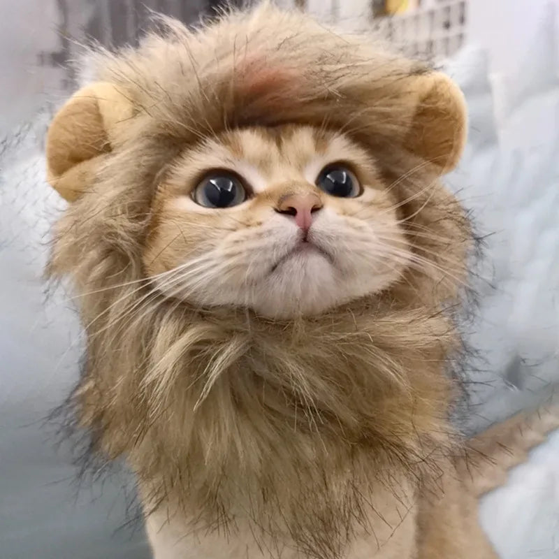 Cute Lion Headgear Cat Hat Mane Wig for Dogs and Cat Small Dog Pet Cat Decor Accessories Lion Wig Fancy Hair Cap Pet Supplies