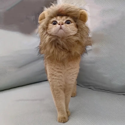Cute Lion Headgear Cat Hat Mane Wig for Dogs and Cat Small Dog Pet Cat Decor Accessories Lion Wig Fancy Hair Cap Pet Supplies